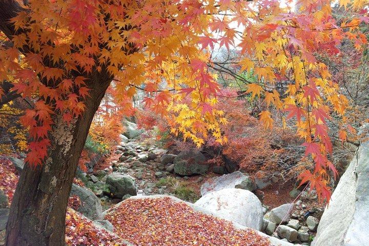 山の専門家と一緒に北漢山ピーク（白雲台：836.5m）へのプライベートハイキングツアー