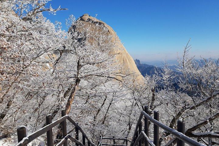 山の専門家と一緒に北漢山ピーク（白雲台：836.5m）へのプライベートハイキングツアー