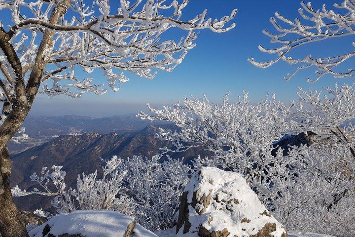 山の専門家と一緒に北漢山ピーク（白雲台：836.5m）へのプライベートハイキングツアー