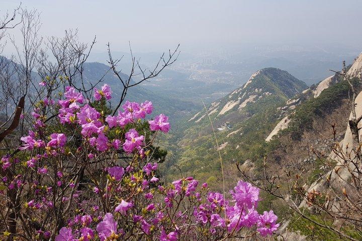 山の専門家と一緒に北漢山ピーク（白雲台：836.5m）へのプライベートハイキングツアー