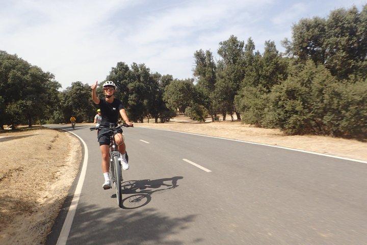 Madrid Parks & Riverside Bike Tour