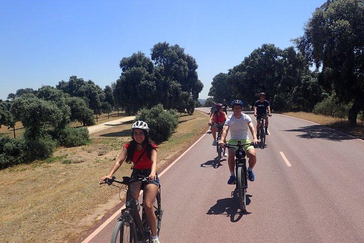 Madrid Gems E-Bike Tour - Små grupper