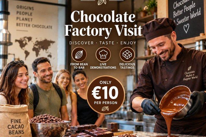 Express Visit of a Real Bean-to-Bar Chocolate Factory in Brussels