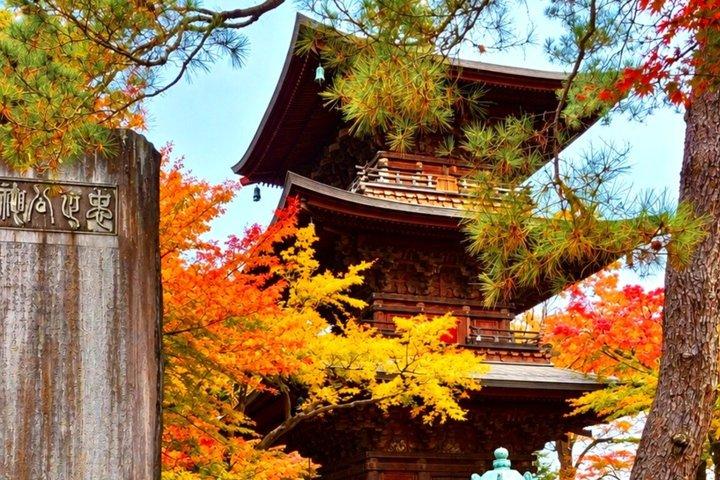 東京 ごとくじ縁結び猫寺、新宿キャットカフェ＆巨大3D猫