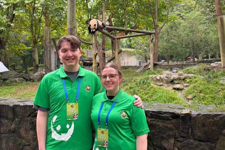 Panda Conservation Volunteer Experience at Wolong or Ya'an