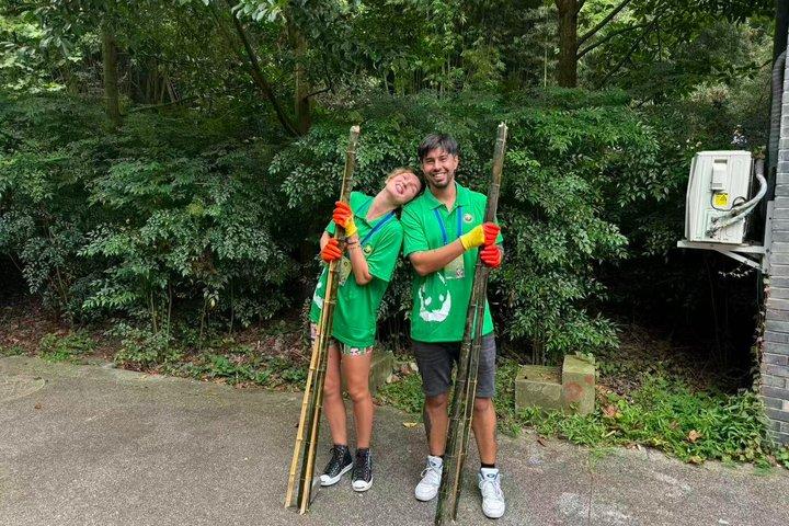 Panda Conservation Volunteer Experience at Wolong or Ya'an