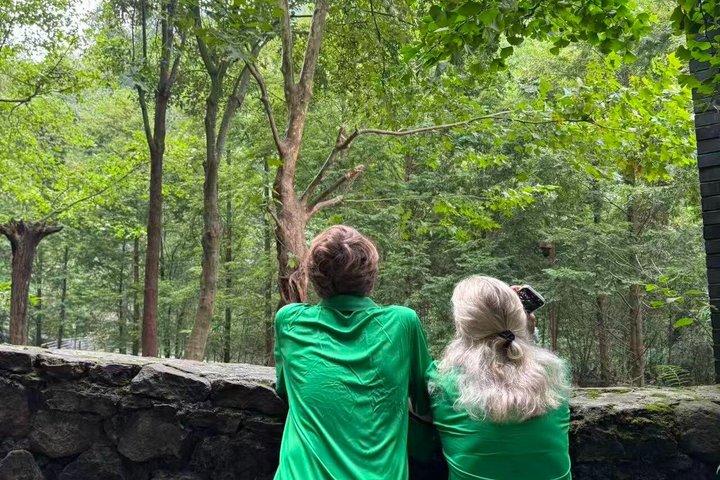 Panda Conservation Volunteer Experience at Wolong or Ya'an
