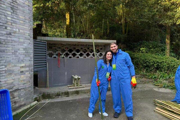 Panda Conservation Volunteer Experience at Wolong or Ya'an