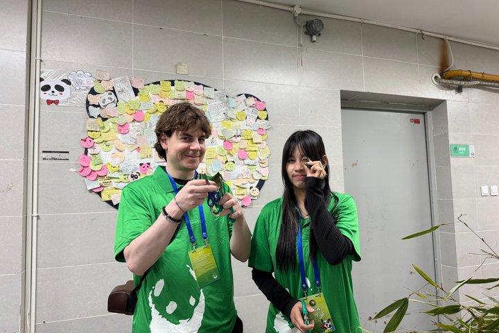 Panda Conservation Volunteer Experience at Wolong or Ya'an