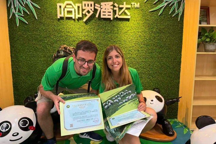 Panda Conservation Volunteer Experience at Wolong or Ya'an
