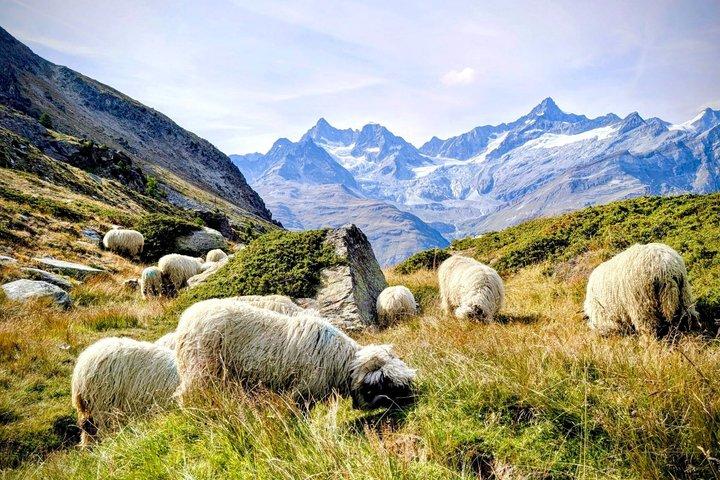 Guided Hike to Zmutt - The Hamlet Beneath Matterhorn