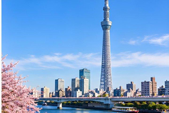 東京のハイライト 文化と象徴的なランドマーク満喫一日ツアー