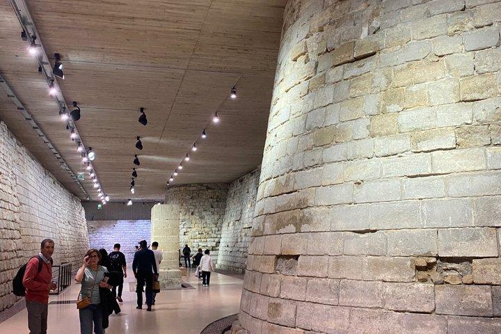 イタリア人ガイドによるルーブル美術館の傑作プライベートツアー
