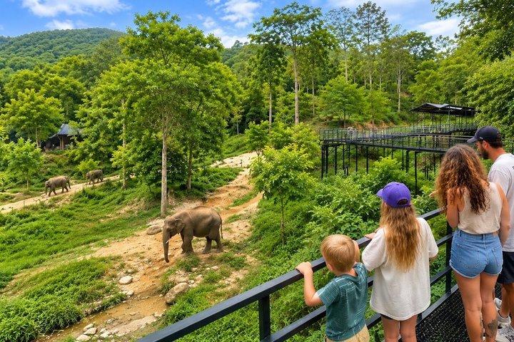 Phuket Elephant Premium Insight and Canopy Walk