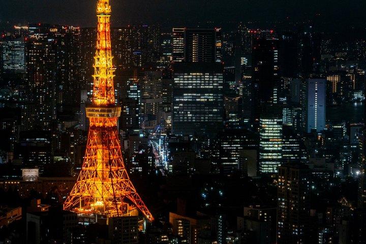 Tokyo Private Night Drive with Hotel Pickup