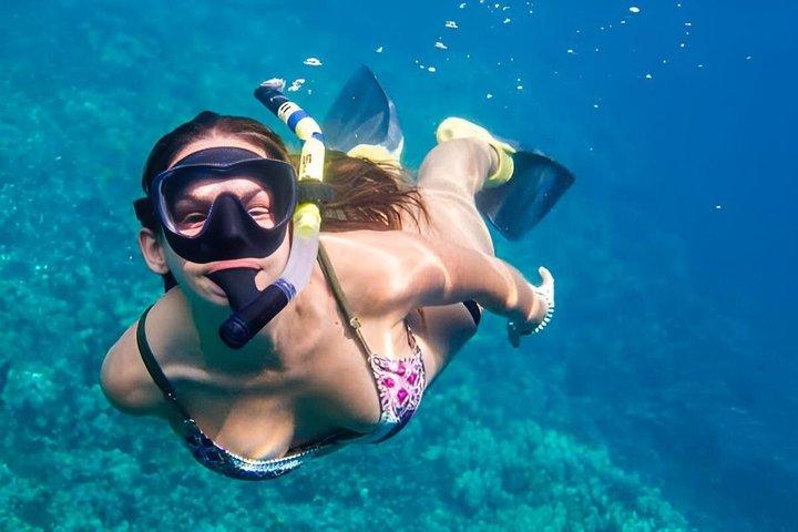 紅海に隠された楽園、オレンジベイを発見する