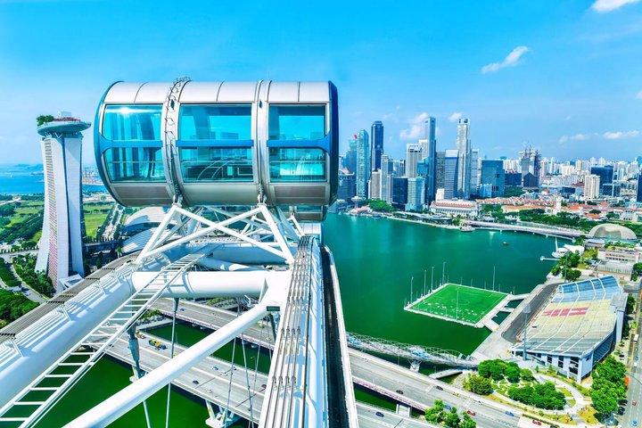 Singapore Flyer Panoramic City Views Experience with Time Capsule