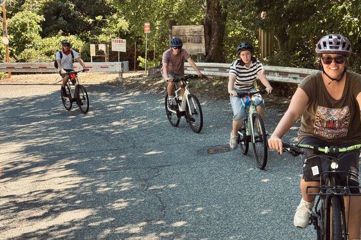 大阪Eバイクツアー：自然、勝尾寺と日本語のチーズケーキ