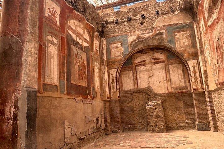 Herculaneum 2 Hour Private Tour with Official Guide