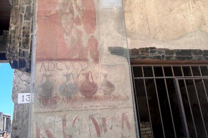 Herculaneum 2 Hour Private Tour with Official Guide