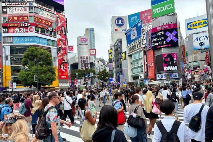 Tokyo Private Sonderfahrt mit Auto und Ortskundigem Reiseleiter