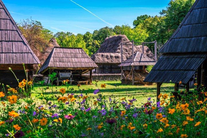 ディミトリー・グスティ国立村博物館プライベートガイドツアー