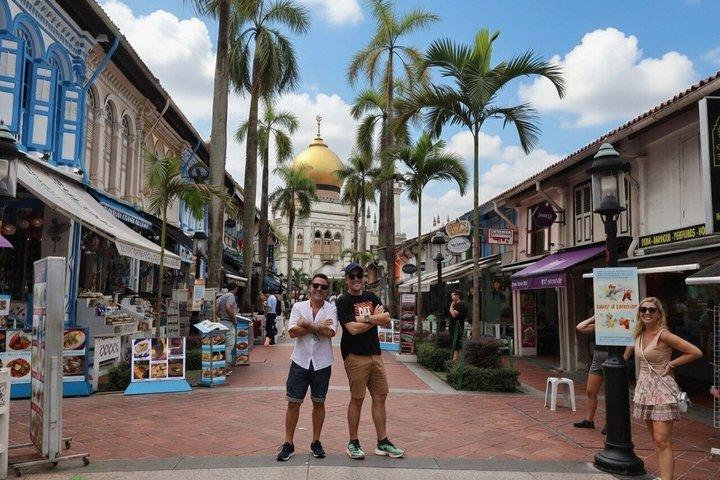 4.5時間 チャイナタウン、ラッフルズホテル、マーライオン＆アラブストリート ウォーキングツアー