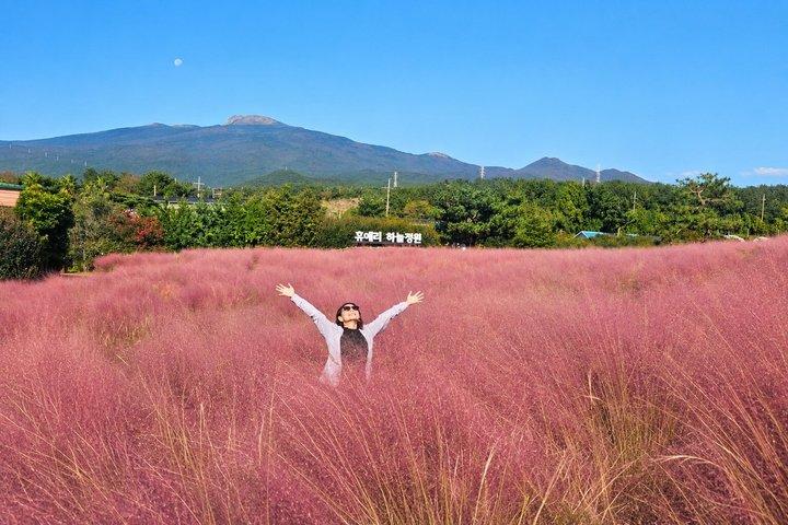 済州島南ユネスコハイライト漢拏山日帰りツアー