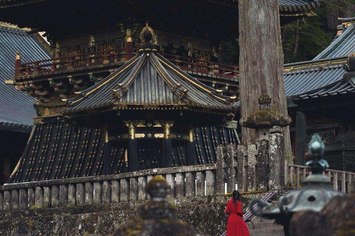 ライセンスを持つガイドと車両付きのプライベート日光ユネスコツアー