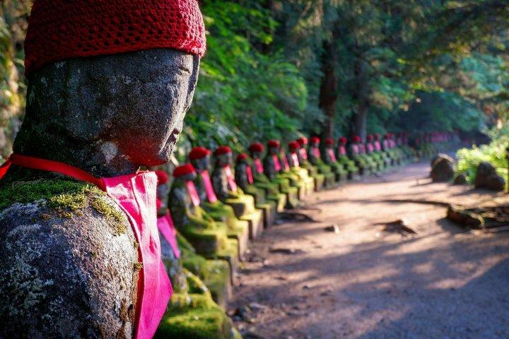 ライセンスを持つガイドと車両付きのプライベート日光ユネスコツアー