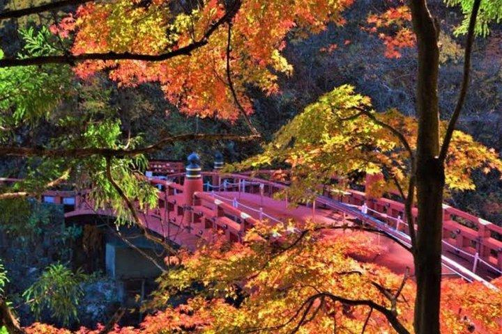ライセンスを持つガイドと車両付きのプライベート日光ユネスコツアー