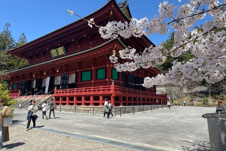 ライセンスを持つガイドと車両付きのプライベート日光ユネスコツアー