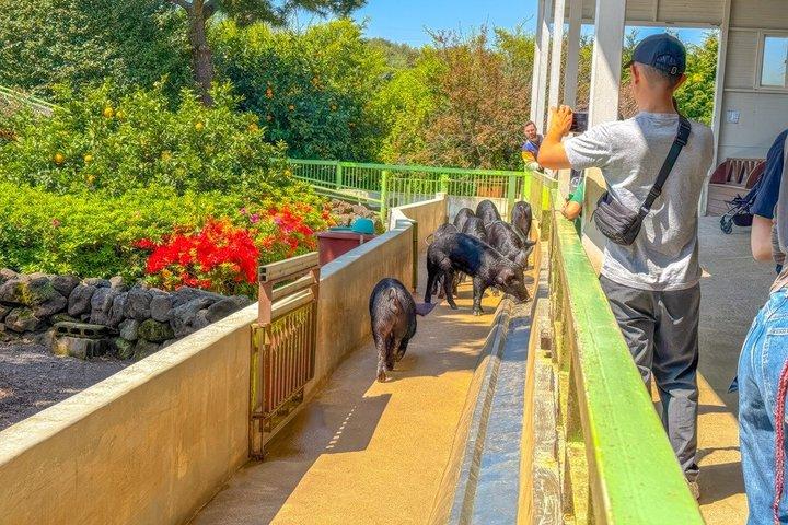 済州島南畝子山漢拏一日バスツアー