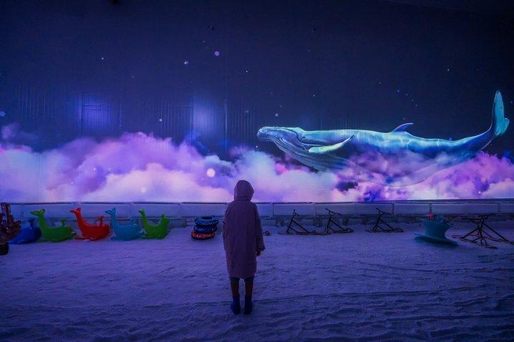 ウィンターワンダーランド パタヤ 本物の雪パーク入場券
