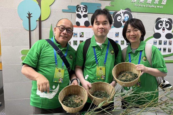Panda Volunteer Day at Dujiangyan Base or Wolong Base