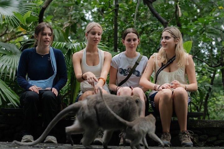 Ubud : Apenbos, Rijstterras, Tempel & Waterval