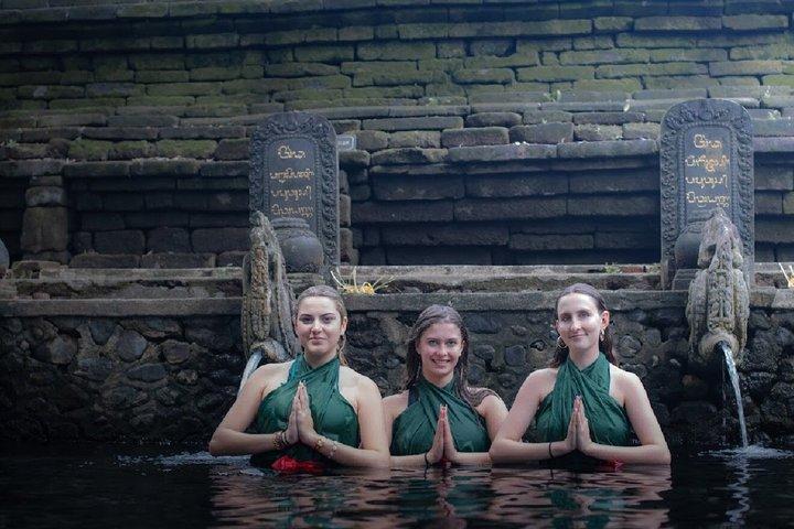 Ubud : Apenbos, Rijstterras, Tempel & Waterval