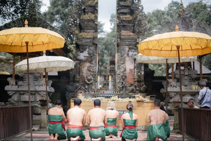Ubud : Apenbos, Rijstterras, Tempel & Waterval