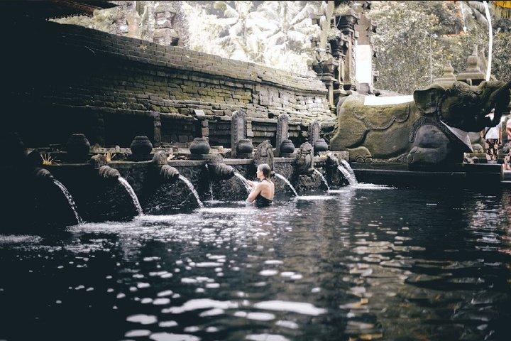Ubud : Apenbos, Rijstterras, Tempel & Waterval
