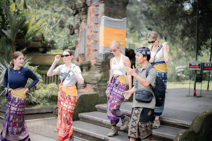 Ubud : Apenbos, Rijstterras, Tempel & Waterval