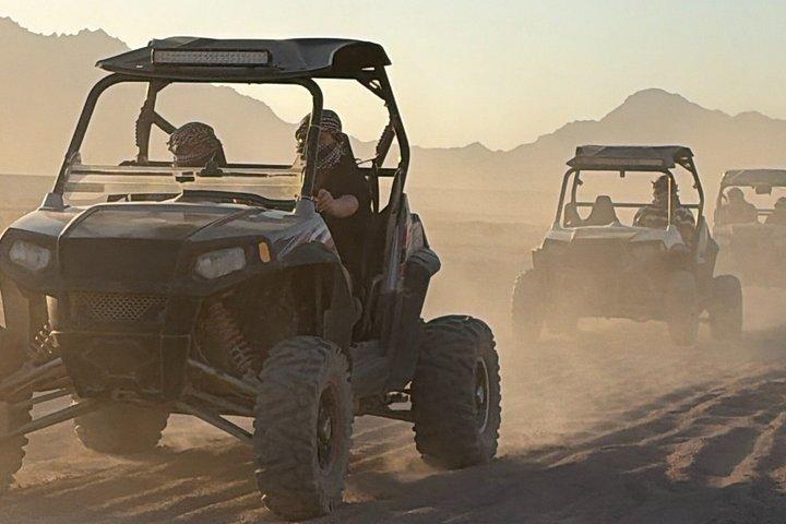 クアッド＆キャメル乗車サファリ シャーム 小グループ・ベドウィンディナーショー付き