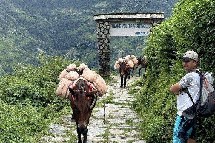 Randonnée privée de 3 jours dans les contreforts d'Annapurna