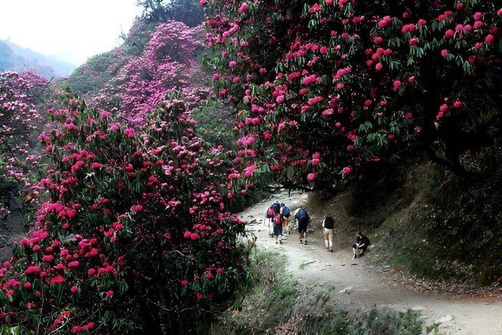 Randonnée privée de 3 jours dans les contreforts d'Annapurna