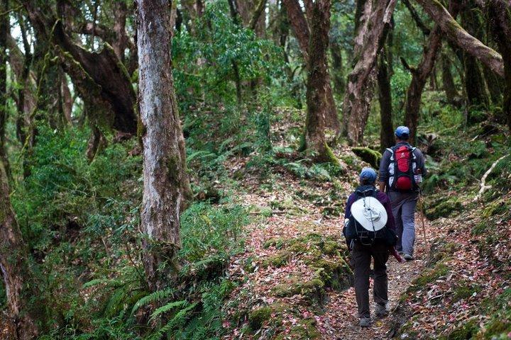Randonnée privée de 3 jours dans les contreforts d'Annapurna