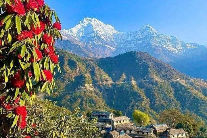 3 Days Private Annapurna Foothills Village Trek