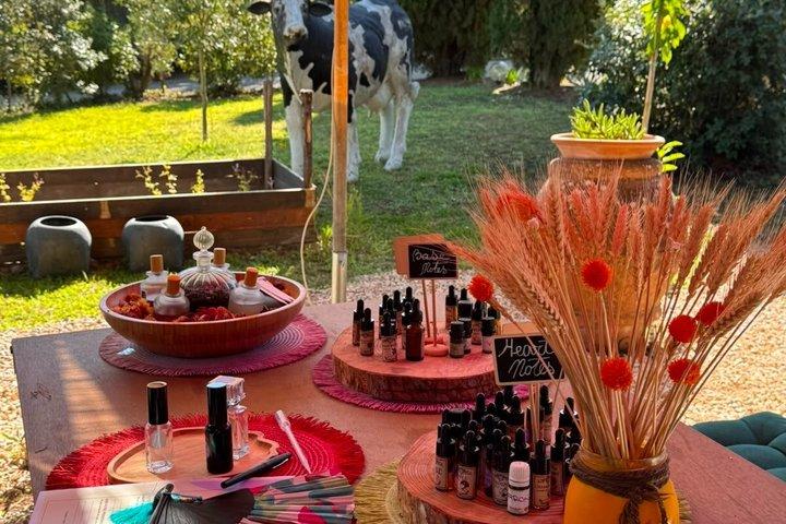 Private Perfume-Making Experience in San Gimignano