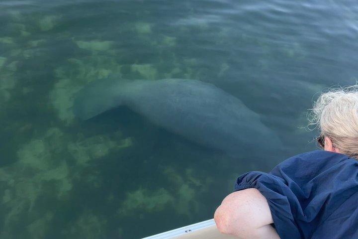 Eco Tour in Crystal River