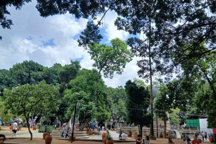 オアハカ市、通りを歩き、市場を巡り、美術館に立ち寄る。