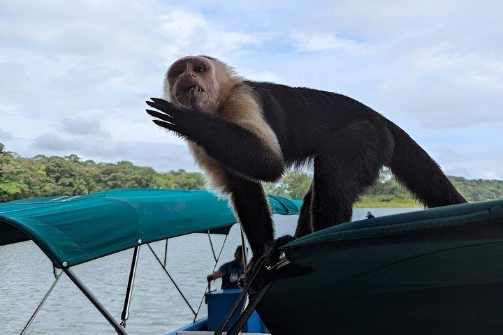 Panamá Más Allá