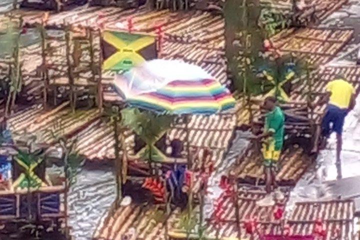 モンテゴベイからプリンセス・グランド・ジャマイカ・プライベート空港への送迎